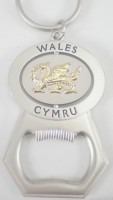 Bottle opener keyring