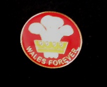 Round feathers badge