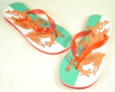 welsh flipflops