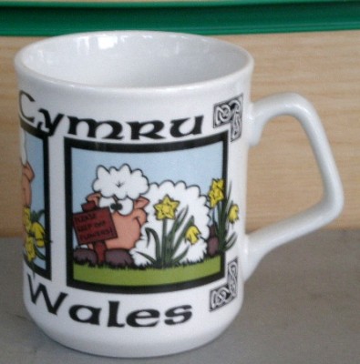 Keep off the flowers mug