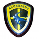 cardiff bluebirds crest
