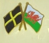 Welsh Flag and Flag od St David Pin